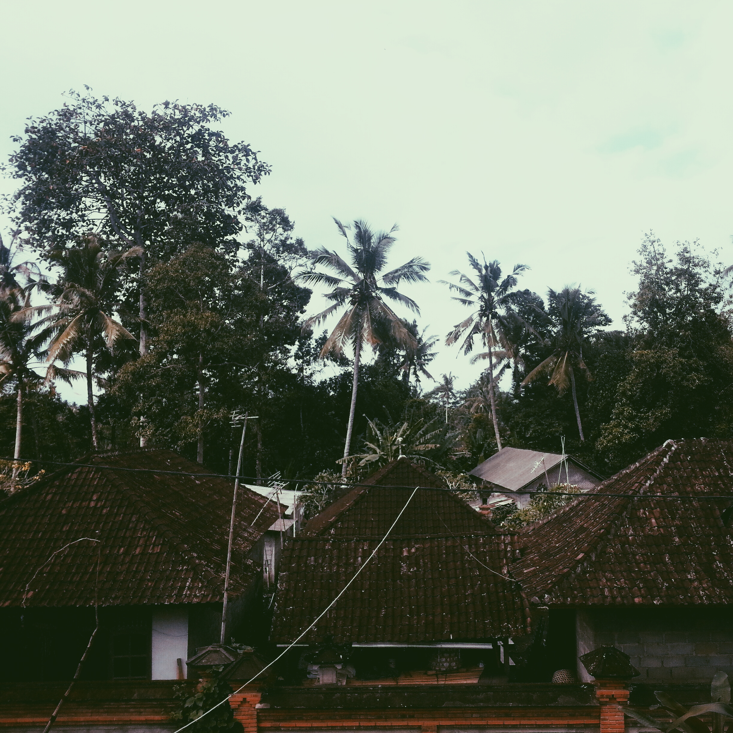 Balinese village 'skyline'