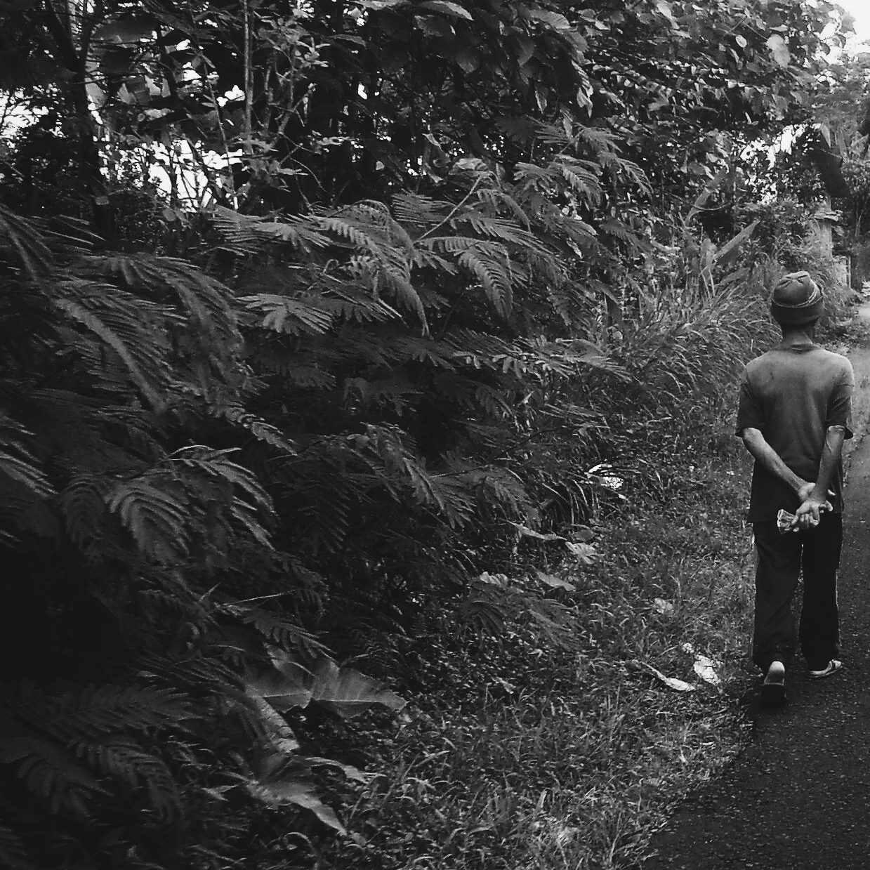 A villager taking a walk