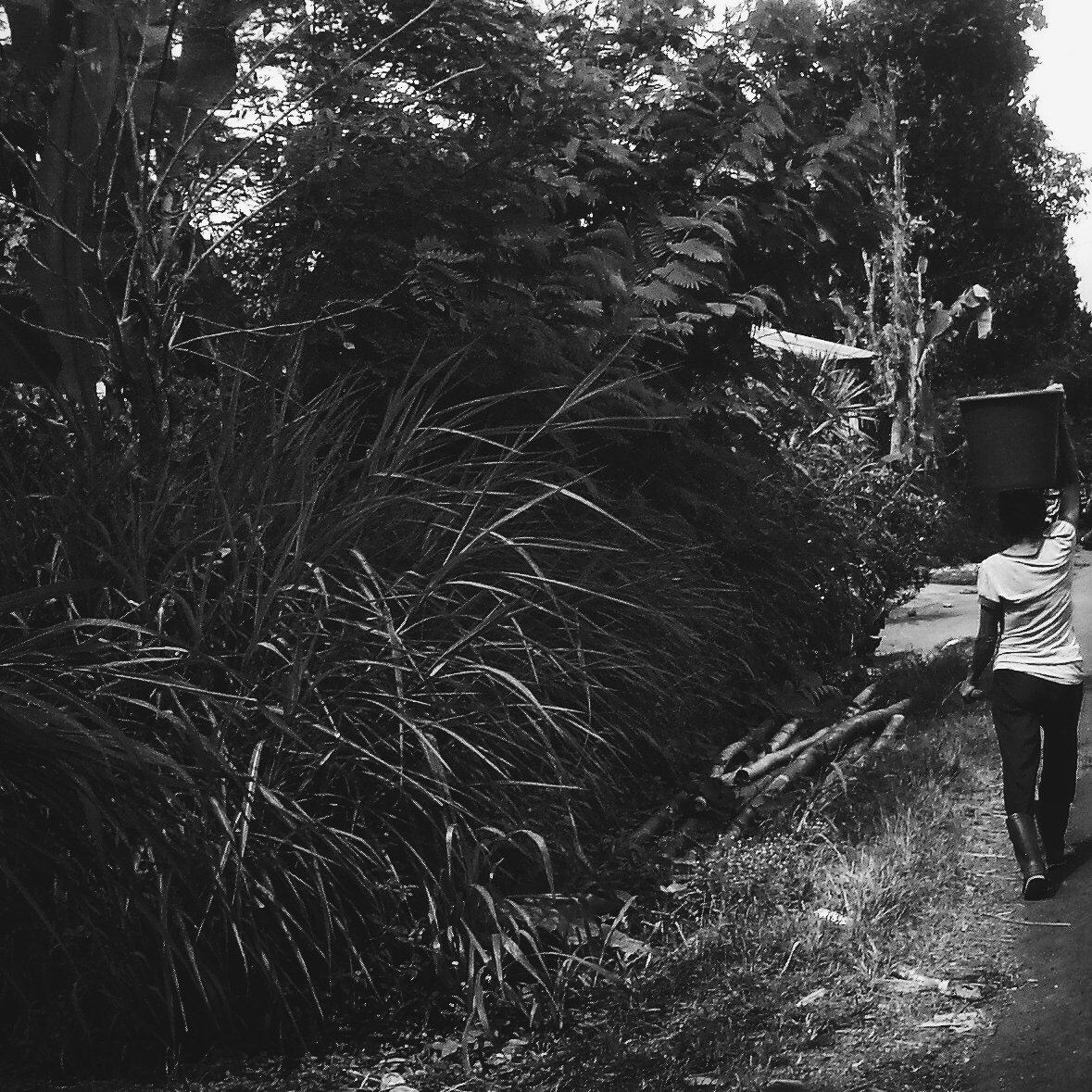 A lady villager carrying stuff over