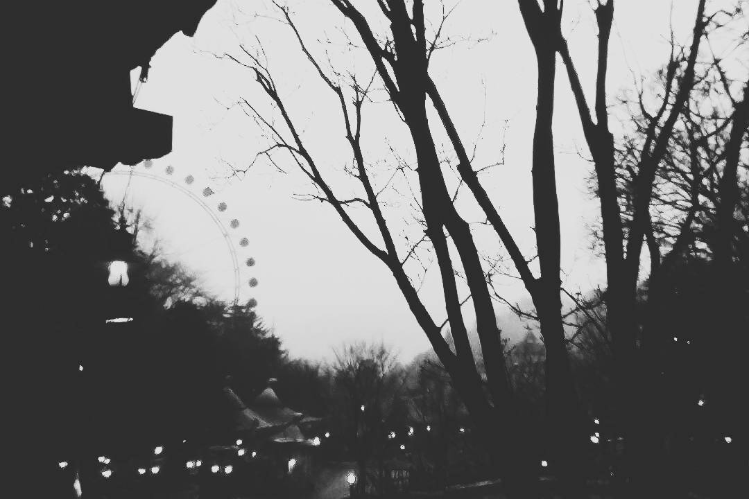 2016-01-07 08.09.49 4.jpg