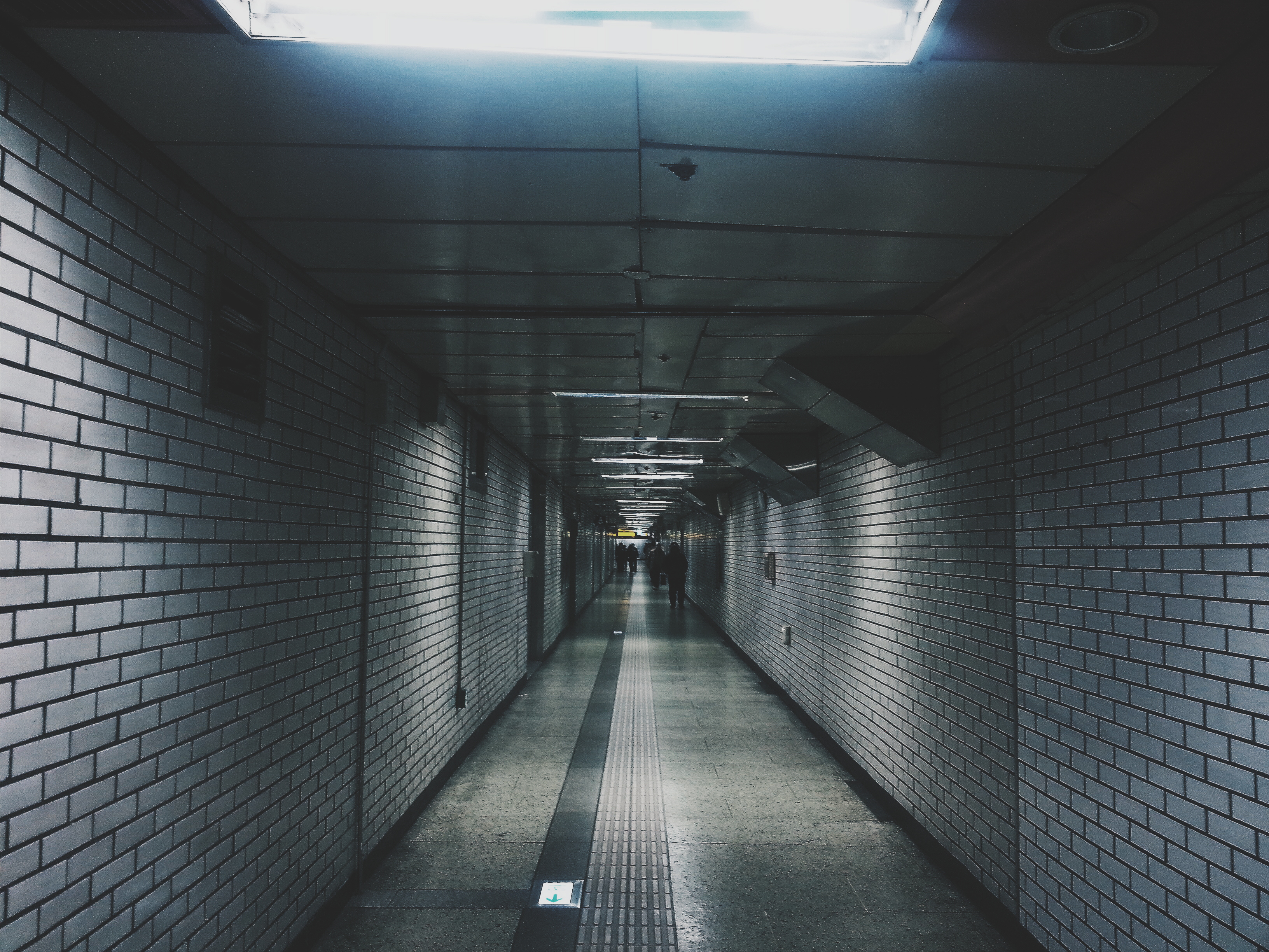 2016-01-07 08.10.09 1.jpg