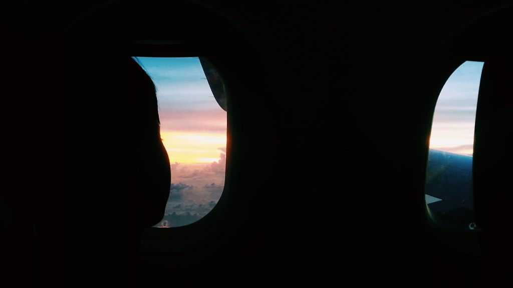 Bali Scenery From Plane